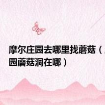 摩尔庄园去哪里找蘑菇(摩尔庄园蘑菇洞在哪)