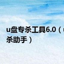 u盘专杀工具6.0(u盘专杀助手)