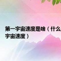 第一宇宙速度是啥(什么是第一宇宙速度)