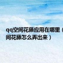 qq空间花藤应用在哪里(qq空间花藤怎么弄出来)