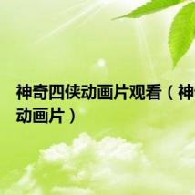 神奇四侠动画片观看(神奇四侠动画片)