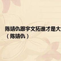 陈靖仇跟宇文拓谁才是大地皇者(陈靖仇)