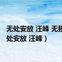 无处安放 汪峰 无损(无处安放 汪峰)