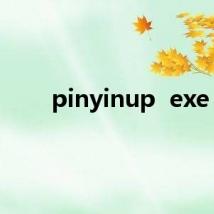 pinyinup exe