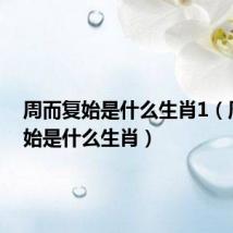 周而复始是什么生肖1(周而复始是什么生肖)