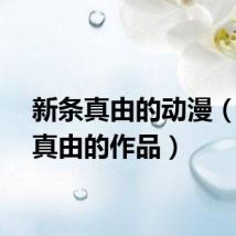 新条真由的动漫(新条真由的作品)