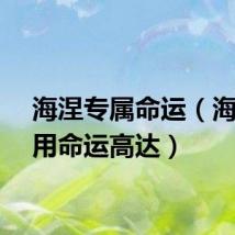 海涅专属命运(海涅专用命运高达)