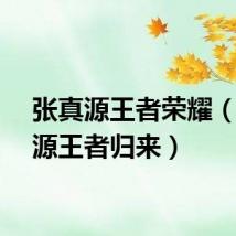 张真源王者荣耀(张艺源王者归来)