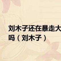 刘木子还在暴走大事件吗(刘木子)