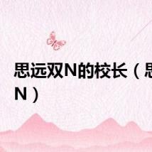 思远双N的校长（思远双N）