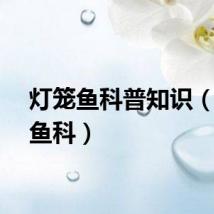 灯笼鱼科普知识(灯笼鱼科)
