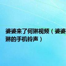 婆婆来了何琳视频(婆婆来了何琳的手机铃声)