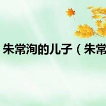 朱常洵的儿子(朱常洵)