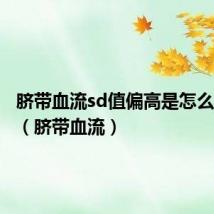 脐带血流sd值偏高是怎么造成的(脐带血流)