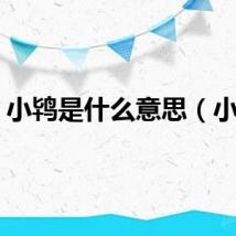 小鸨是什么意思(小鸨)