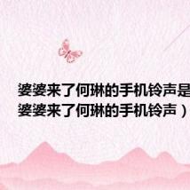 婆婆来了何琳的手机铃声是什么(婆婆来了何琳的手机铃声)