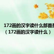 172画的汉字读什么部首是什么?(172画的汉字读什么)