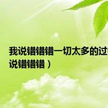 我说错错错一切太多的过错(我说错错错)