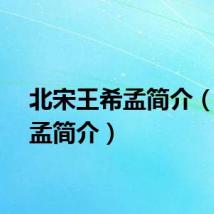 北宋王希孟简介（王希孟简介）