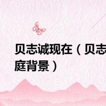 贝志诚现在（贝志诚家庭背景）