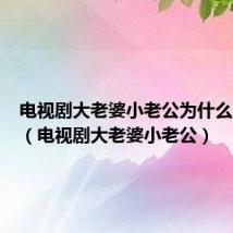 电视剧大老婆小老公为什么不能看(电视剧大老婆小老公)