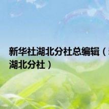 新华社湖北分社总编辑(新华社湖北分社)