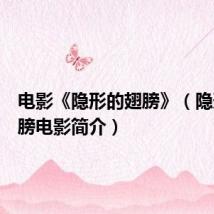 电影《隐形的翅膀》(隐形的翅膀电影简介)