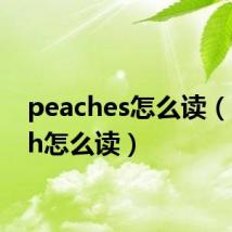 peaches怎么读(peach怎么读)