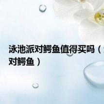泳池派对鳄鱼值得买吗(泳池派对鳄鱼)