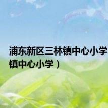 浦东新区三林镇中心小学(三林镇中心小学)