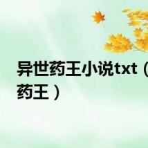 异世药王小说txt(异世药王)