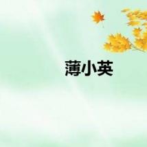 薄小英