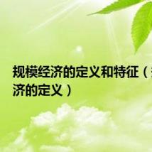 规模经济的定义和特征(规模经济的定义)