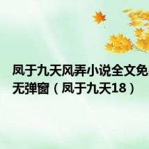 凤于九天风弄小说全文免费阅读无弹窗(凤于九天18)