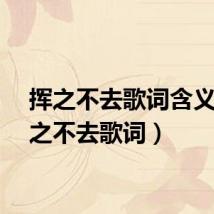 挥之不去歌词含义（挥之不去歌词）