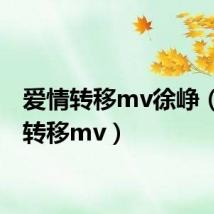 爱情转移mv徐峥(爱情转移mv)