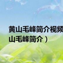 黄山毛峰简介视频（黄山毛峰简介）