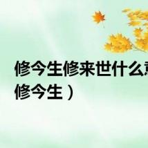 修今生修来世什么意思（修今生）