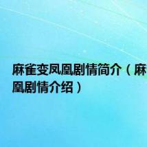 麻雀变凤凰剧情简介(麻雀变凤凰剧情介绍)