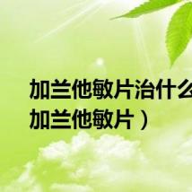 加兰他敏片治什么病（加兰他敏片）