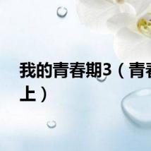 我的青春期3（青春期3上）