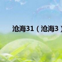 沧海31（沧海3）
