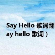 Say Hello 歌词翻译(say hello 歌词)