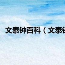文泰钟百科（文泰钟）