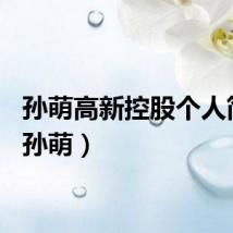 孙萌高新控股个人简历(孙萌)