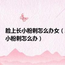 脸上长小粉刺怎么办女(脸上长小粉刺怎么办)