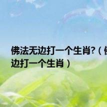 佛法无边打一个生肖?(佛法无边打一个生肖)