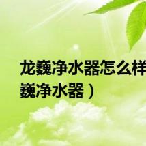 龙巍净水器怎么样（龙巍净水器）