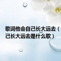 歌词他会自己长大远去（他会自己长大远去是什么歌）