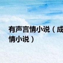 有声言情小说（成人言情小说）